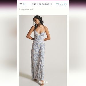 Anthropologie Blue and White Floral Backless Dress